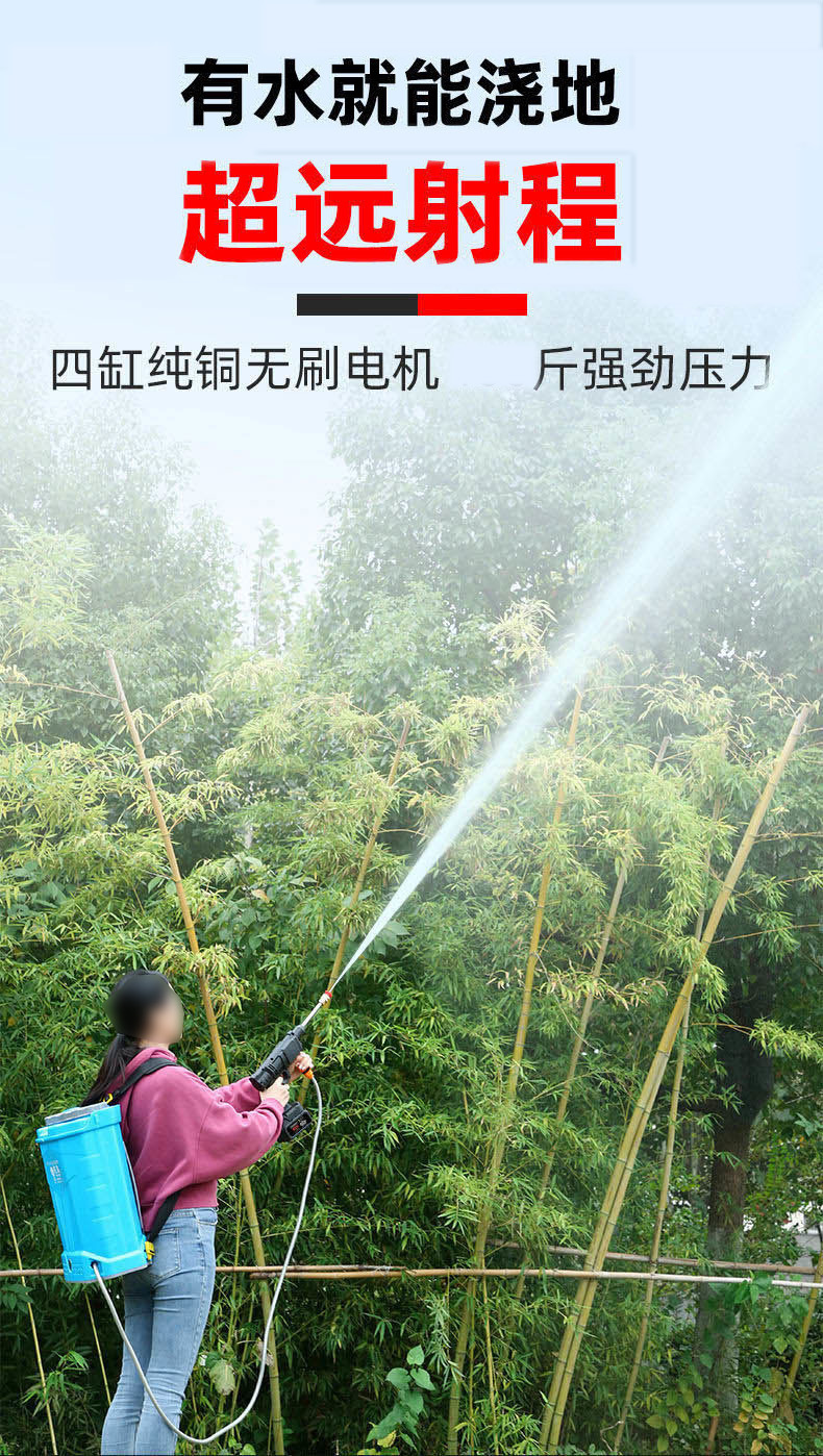 Lithium Battery Small Rechargeable Vegetable Watering Machine Household Water Spray Gun Machine Car Wash Portable Wireless Lithium Battery