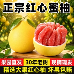 ����ƽ�����֮����t������9�����rˮ���t�ֱ�Ƥ����������l
