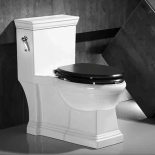 �͹ŚW�������RͰ����ʽ��ɫ������ˮ�o����ڏ����A�B�w�������