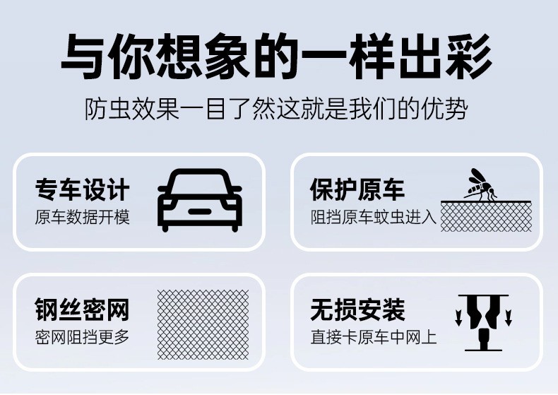 Adapted to Huawei's M9 extended-range version of the front face net appearance modification accessories special insect net decoration car