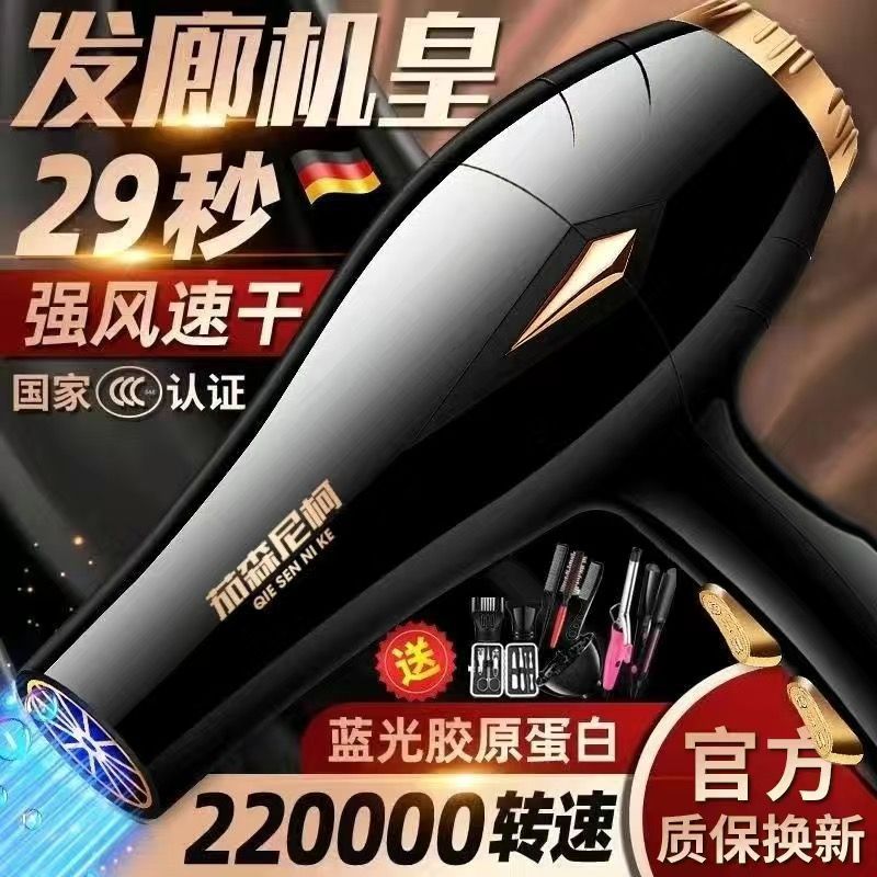 Hair Salon Hair Dryer for Blowing Hair with Strong Wind for Home Barber Shop High Power Negative Ion Hair Care Quick Drying Silent Factory