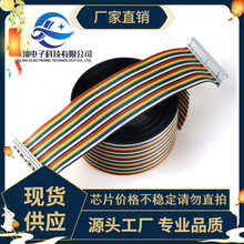 40P�Ű ���ž� ĸ��ĸ ����ĸ �������^ 2.54MM 10/20/21/30CM