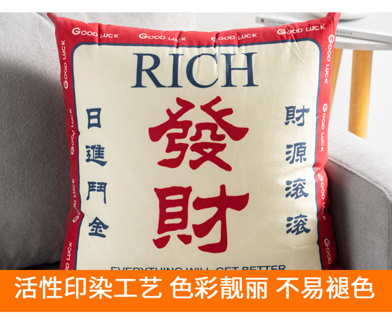 发财抱枕_06.jpg