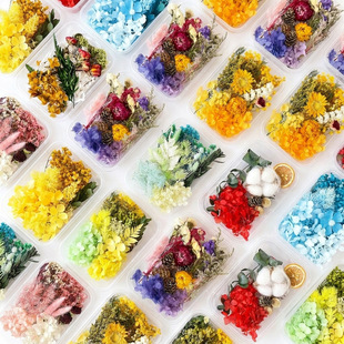 ������diy���ϲ�ɫ�滨�ɻ��ֹ��Y��YƷϞ�T�b�����S�����l