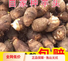 ɽ�|ţ�����^���r�F��СëܛŴ�㻬�r�aƷ��ܵ���r�߲����^С����