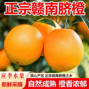 �����M��Ě�����rˮ��10���M�ݮ�������������ڼ~�ɠ���Ʒ�����