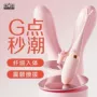 情趣双头震动棒