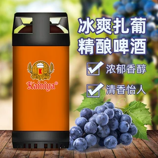 葡萄果味低醇精酿啤酒桶装鲜啤扎啤20升多款果味鲜啤全国配送发货