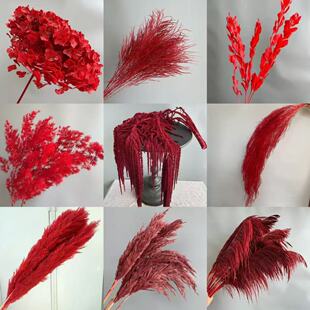 �tɫϵ���������l�����Ҿӻ�c������Ȼ�ɻ��b��쾰��Y�Շ��b�