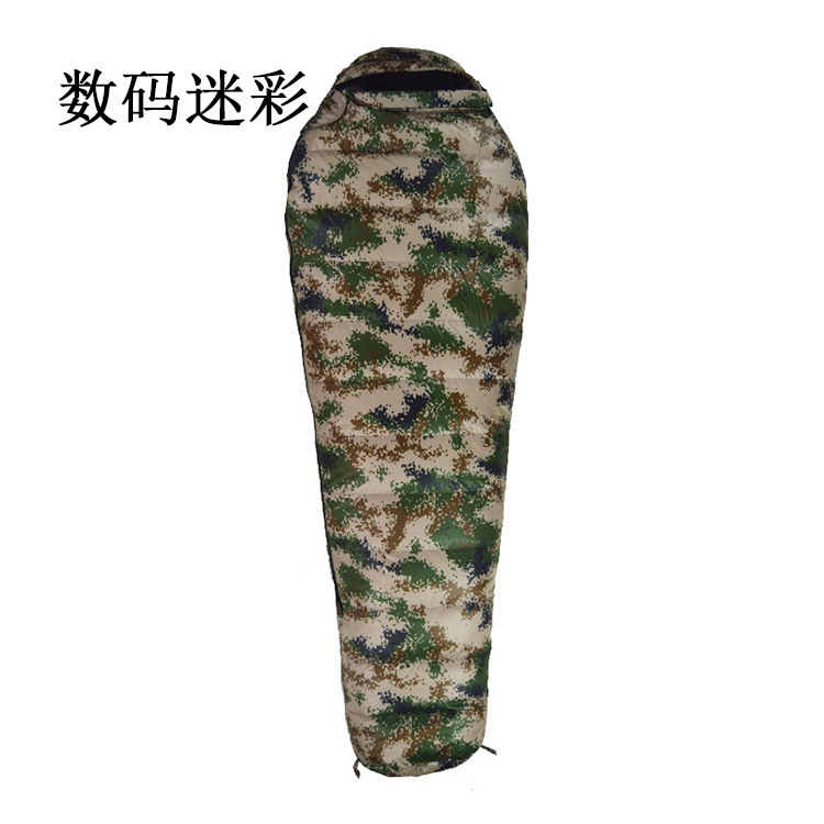 디지털 모델