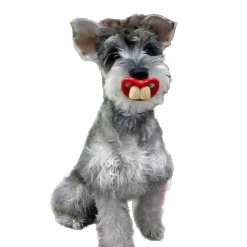 赤い唇のウサギの歯と同じスタイルの面白い犬のおしゃぶり面白いおもちゃの出っ歯ペットの犬面白いおしゃぶり|undefined