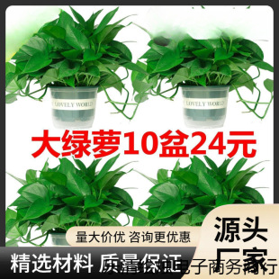 ľ֮LٴG~BȩG}҃辰ֲˮGj