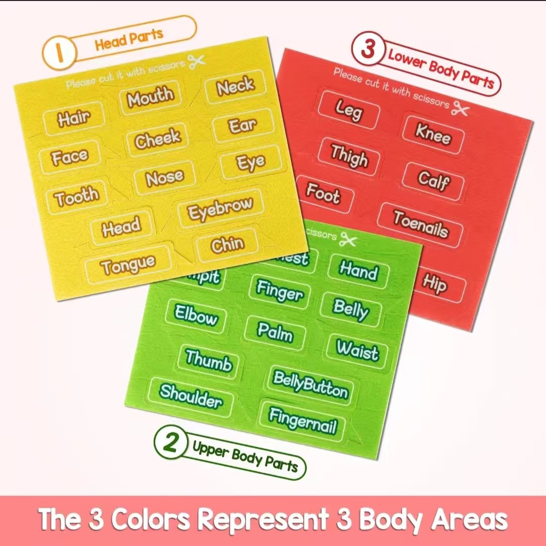 Amazonas fieltro educación temprana juguetes puzzle infantil educación temprana DIY cognitiva corporal estructural puzzle