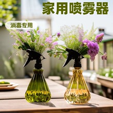 浇花喷壶 500ml透明小喷壶钻石形状浇花壶塑料喷水壶园艺园艺养花