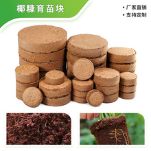 ��Ҭ�����s�I�B���K���ݰlҬ�����s�����������ʸ߈@ˇ�Nֲ����K