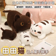 ���uβ�͵�С�����пɐ۲�Ȯ��ż����С����l�lë�q��߶Y�����l