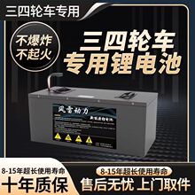 ����Դ늄���݆��݆܇���ô������늳�48V60V72V����ȫ���о