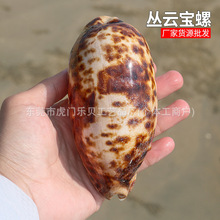 ��녌�����Ȼ����ؐ���˱��ݼҾә����b��~��ˮ���쾰�ղؔ[��