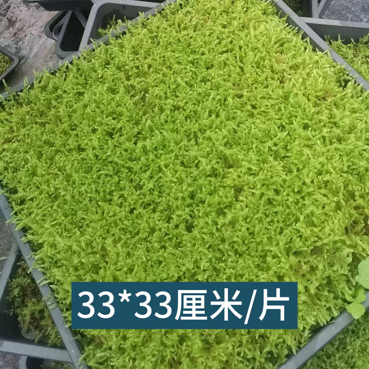 微信图片_20250729163535