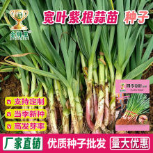 �ϸ���Ҷ�������Ӻ�������ļ���Ҷ�������ͺ���Ƥ��Ƥ����������