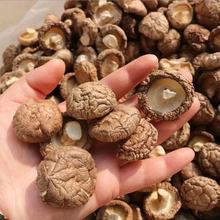 西峡香菇干货100-500g批发野蘑菇干香茹无根冬菇花菇菌菇