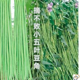 С���~��֦÷���L���ǷN�����~�͟ቺ�������L���ǷN����������N