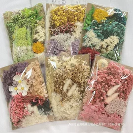 饰品配件;其他婚庆用品;教学演示用品