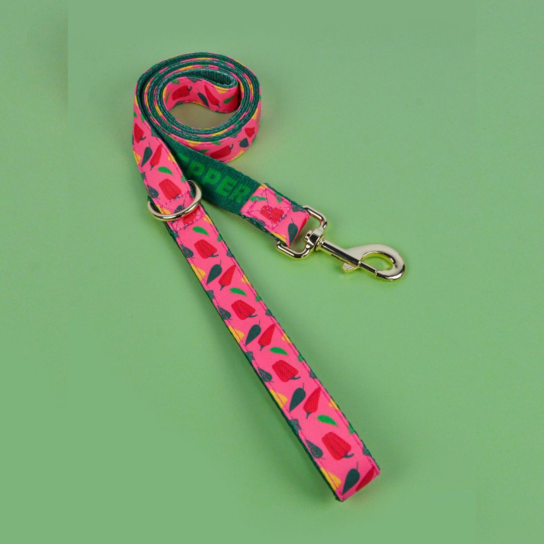 장미 붉은 색 고추 견인 로프