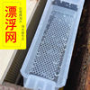 honeybee feeding Float Float Beekeeping Dedicated tool