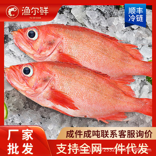 �r���tʯ���~������đ�~���l������F�~���r�L���~�|�ǰ����l