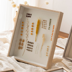 立體中空標本框diy手工相框擺台蝴蝶昆蟲粘土裝裱展示框 乾花相框