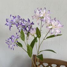 ����ɳ�A����������ջ�c�h���쾰���L���l�軨�˰����ٻ��b�