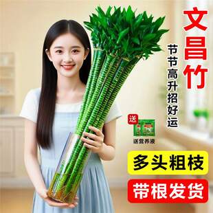 �Ĳ��������F���k���ҹ�λ����Gֲˮ��ֲ���҃Ⱥ��B�����D�\��