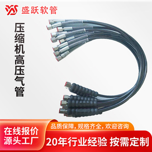 High-Pressure Trachea Fibro-Woven Resin Pipe High-Pressure Nylon Hose Assembly High-Pressure Hose Joint Non-Standard Customization