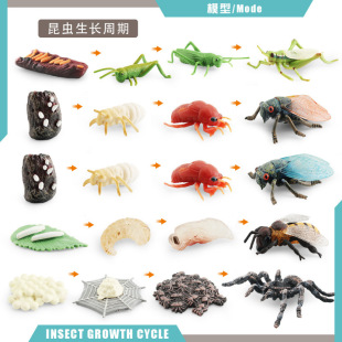 �羳�������x������L����ģ��Λ���s�۷�֩�����L�^�̿ƽ̔[��