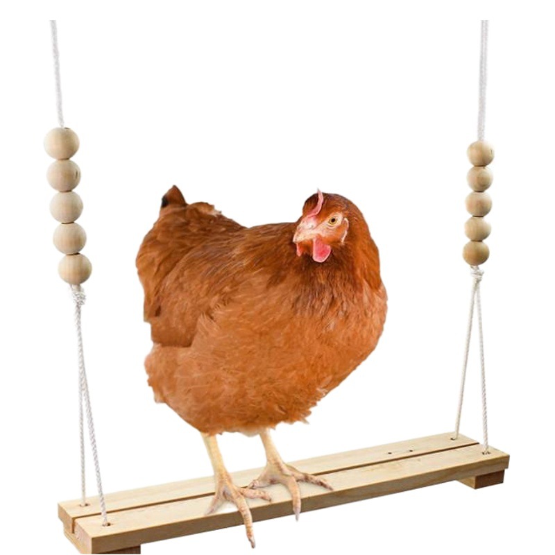 Medio y grande loro columpio PET pollo Gallo pollo gallina gran columpio puente colgante escalera gran columpio