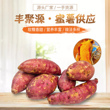 壽光原產地供應蜜薯鮮生現挖現發 板栗地瓜紅薯番薯蔬菜 一件代發