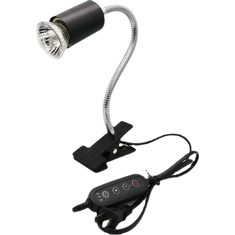 Черепаха подсветка черепаха подсветка черепаха зимняя спячка принадлежности