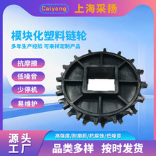 工厂CY-2520输送塑料齿轮输送机尼龙塑料齿链轮规格多样支持定制