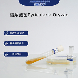 �����߾�ACCC37631 ˮ�������� ֲ�ﲡ���о�