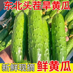 ���r�^��|�����S�ϴ��S��С������ɿ��r��ζ���Fժ�F�l