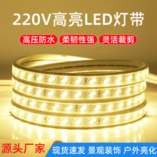 LED灯带220V高亮5730双排120灯高压防水户外家装工程亮化柔性灯条