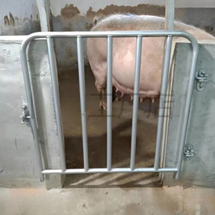 ��\�iȦ�T�i���T�i���T��Ȧ�Tĸ�i���T䓹��T�S���i�Й��T