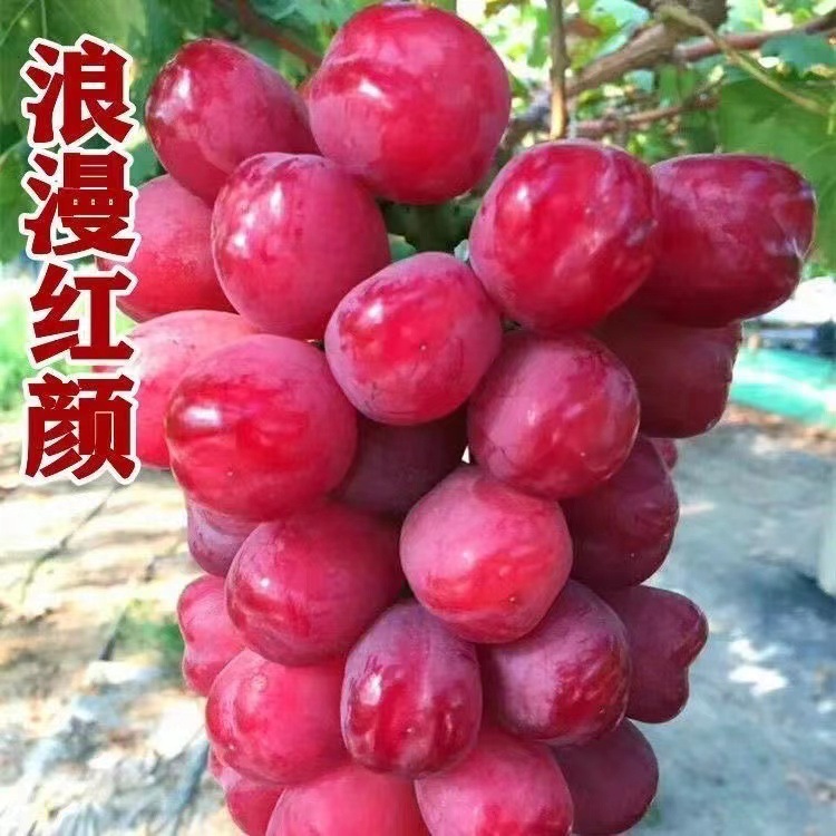 微信图片_20220902144457