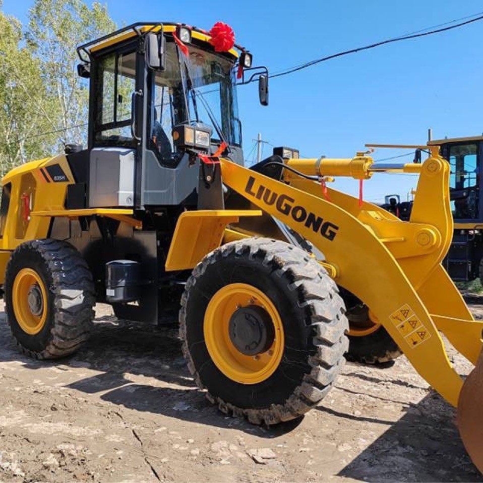 Pequeña carretilla elevadora Dragon 20 y 30 cargadores de brazo para manejar una excavadora 50
