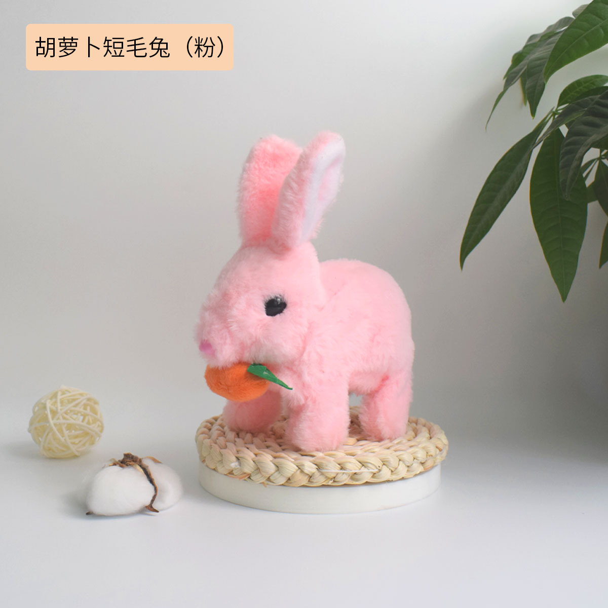 핑크 당근 토끼