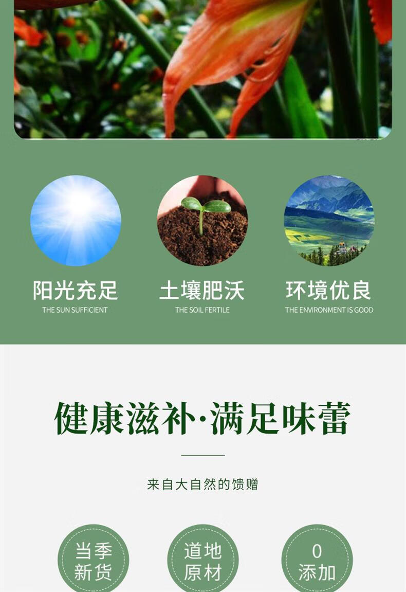 Dried Lily Flower Tea 500g Bai He Hua Loose Herbal Flowers Natural Floral Infusion quality and texture