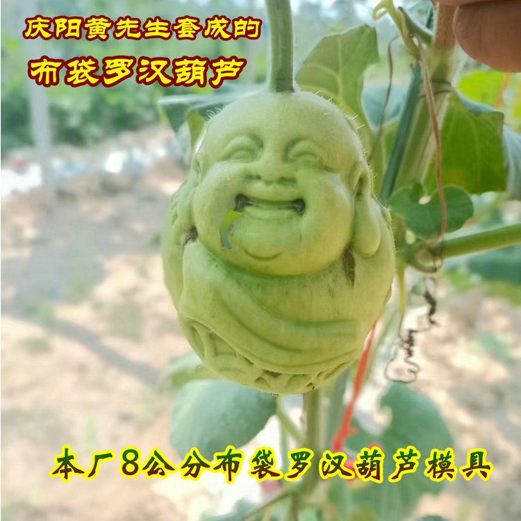 8公分布袋罗汉胖罗汉小手捻葫芦模具苹果梨桃水果采摘园塑料农用