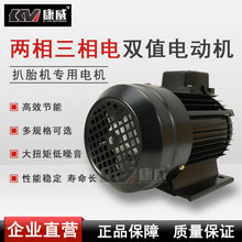 尼比鲁扒胎机专用电机0.75/1.1KW千瓦电机220V380V电机两相电三相