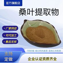 桑叶提取物含桑叶黄酮20%水溶性桑叶粉量大优惠厂家供应